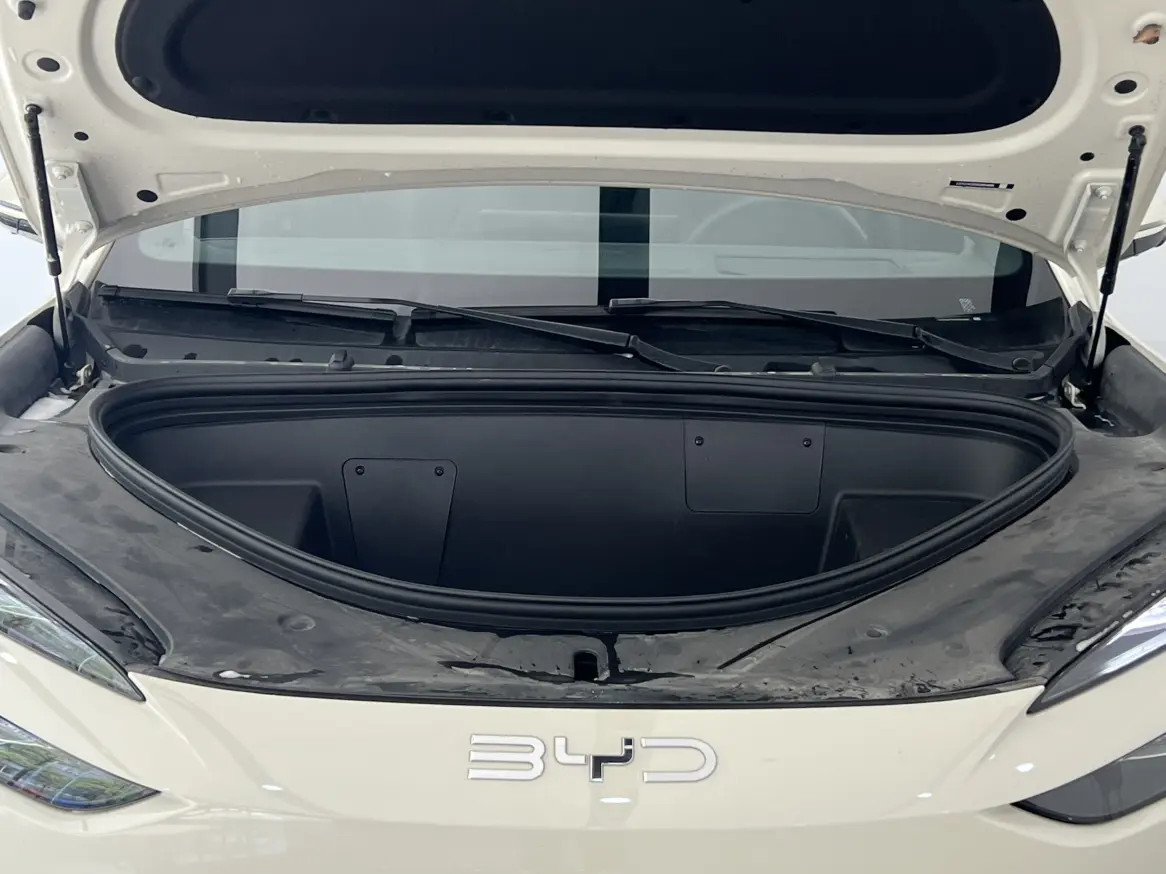 BYD Sea Lion 06EV