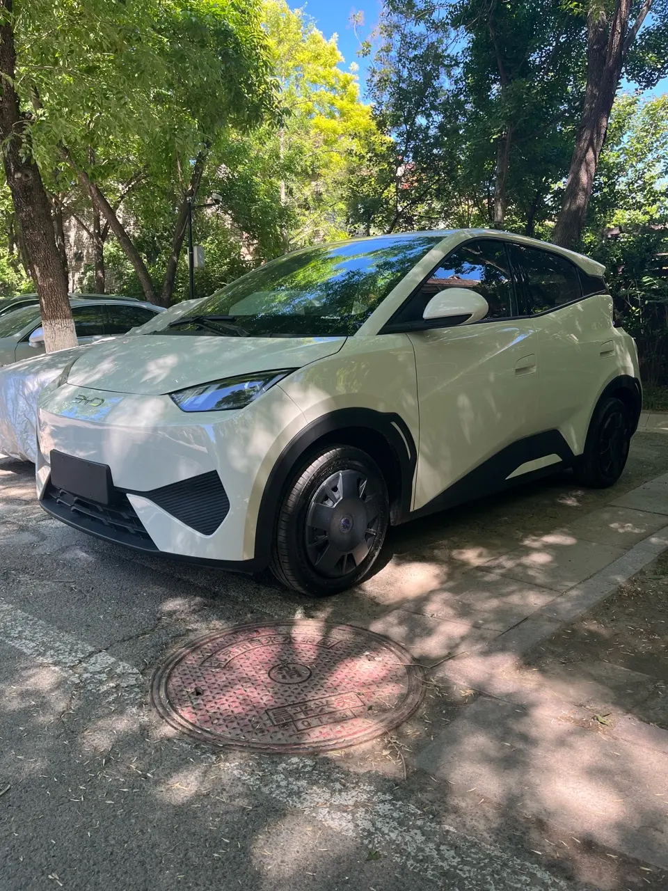 BYD Seagull
