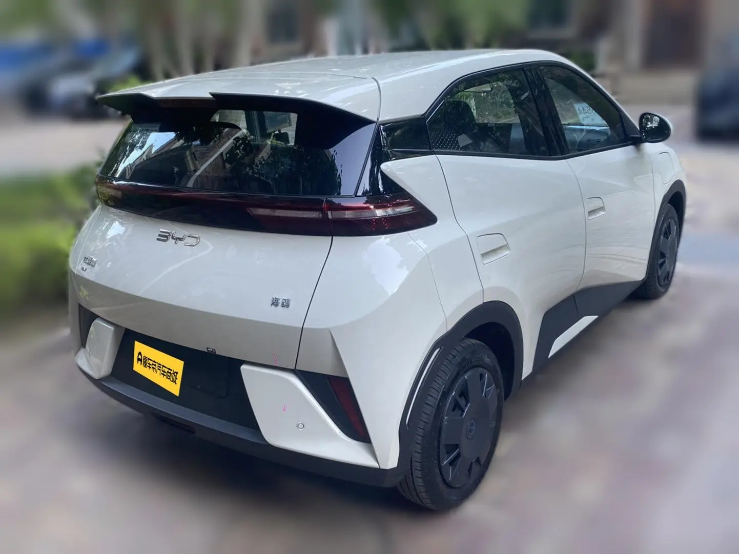 BYD Seagull