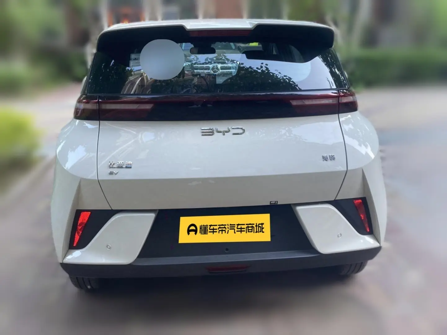 BYD Seagull