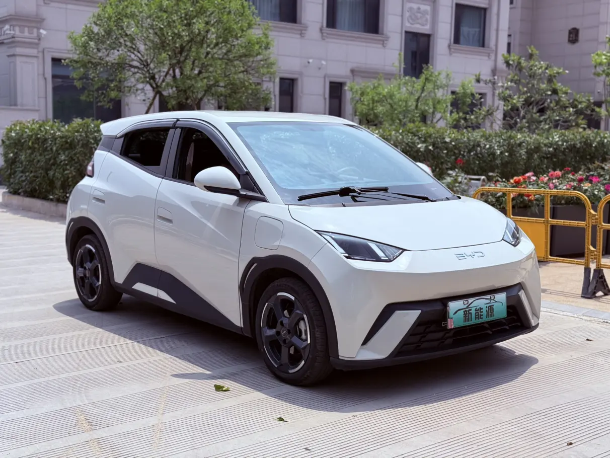 BYD Seagull