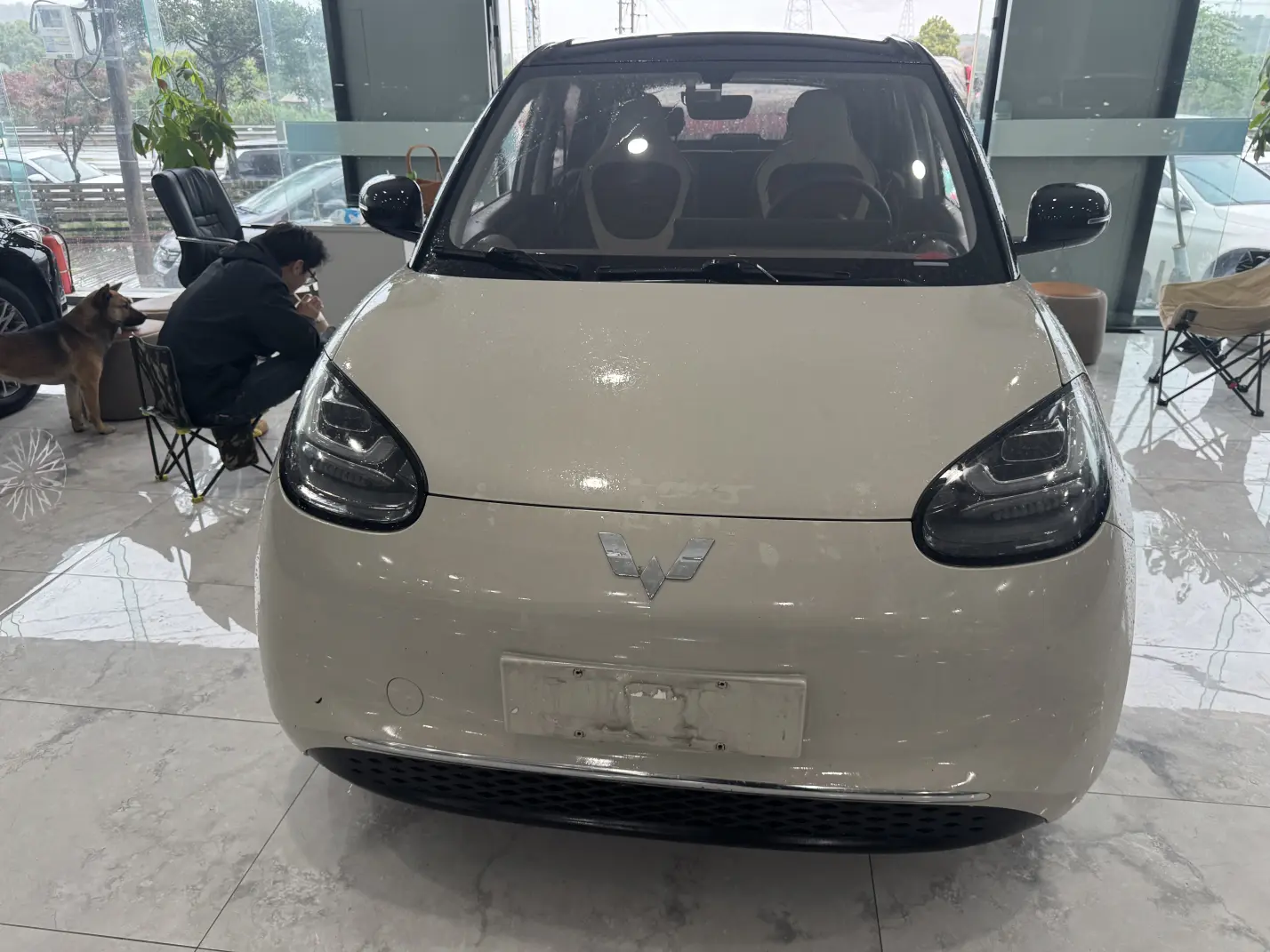 Wuling Bingo