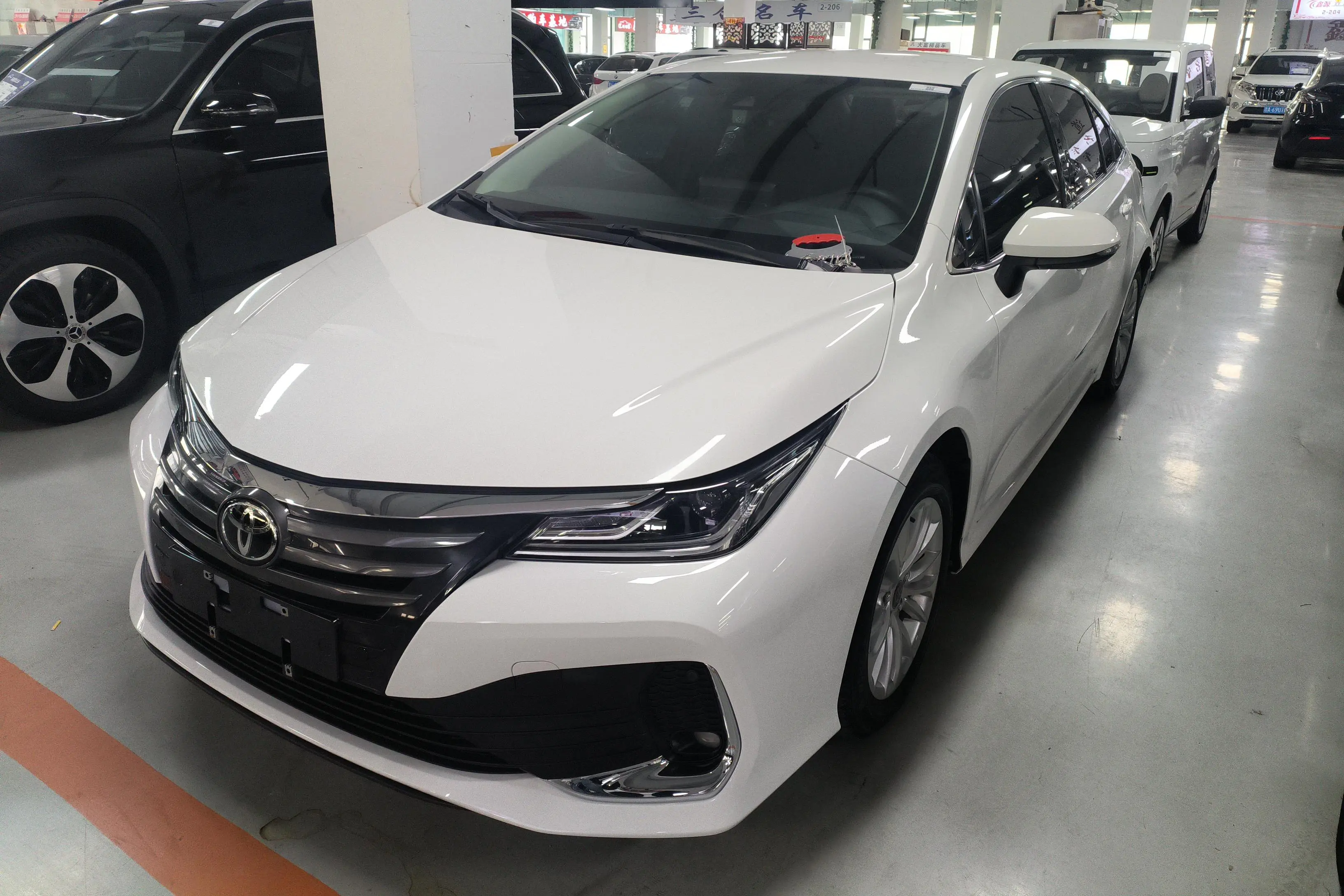 Toyota Asiatic lion