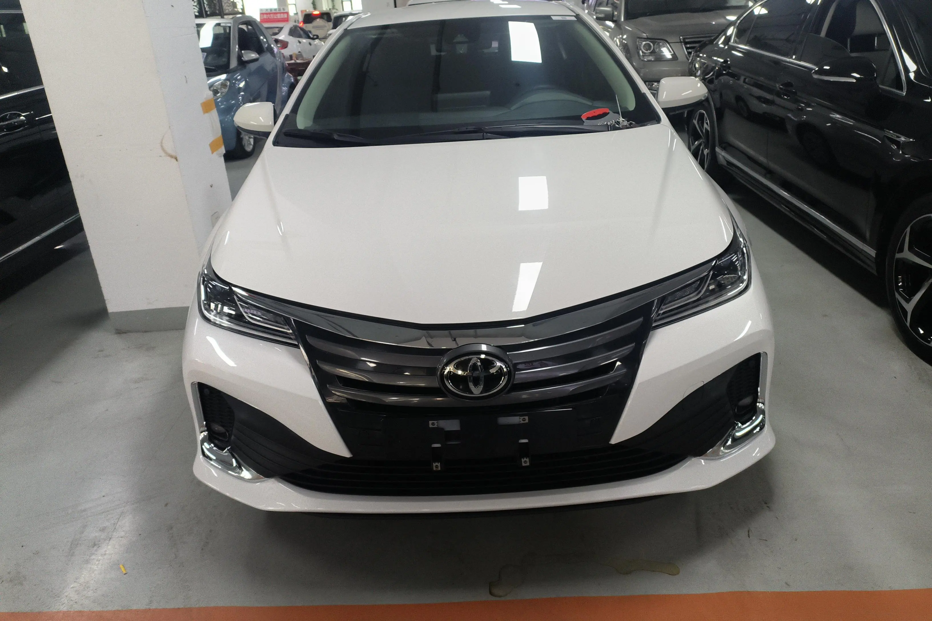 Toyota Asiatic lion