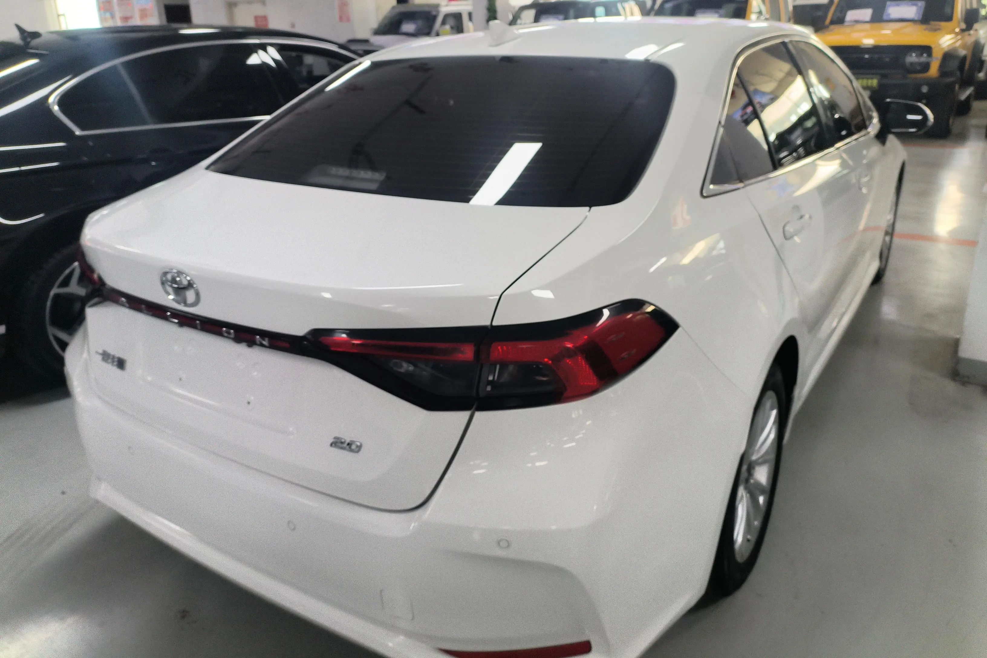 Toyota Asiatic lion