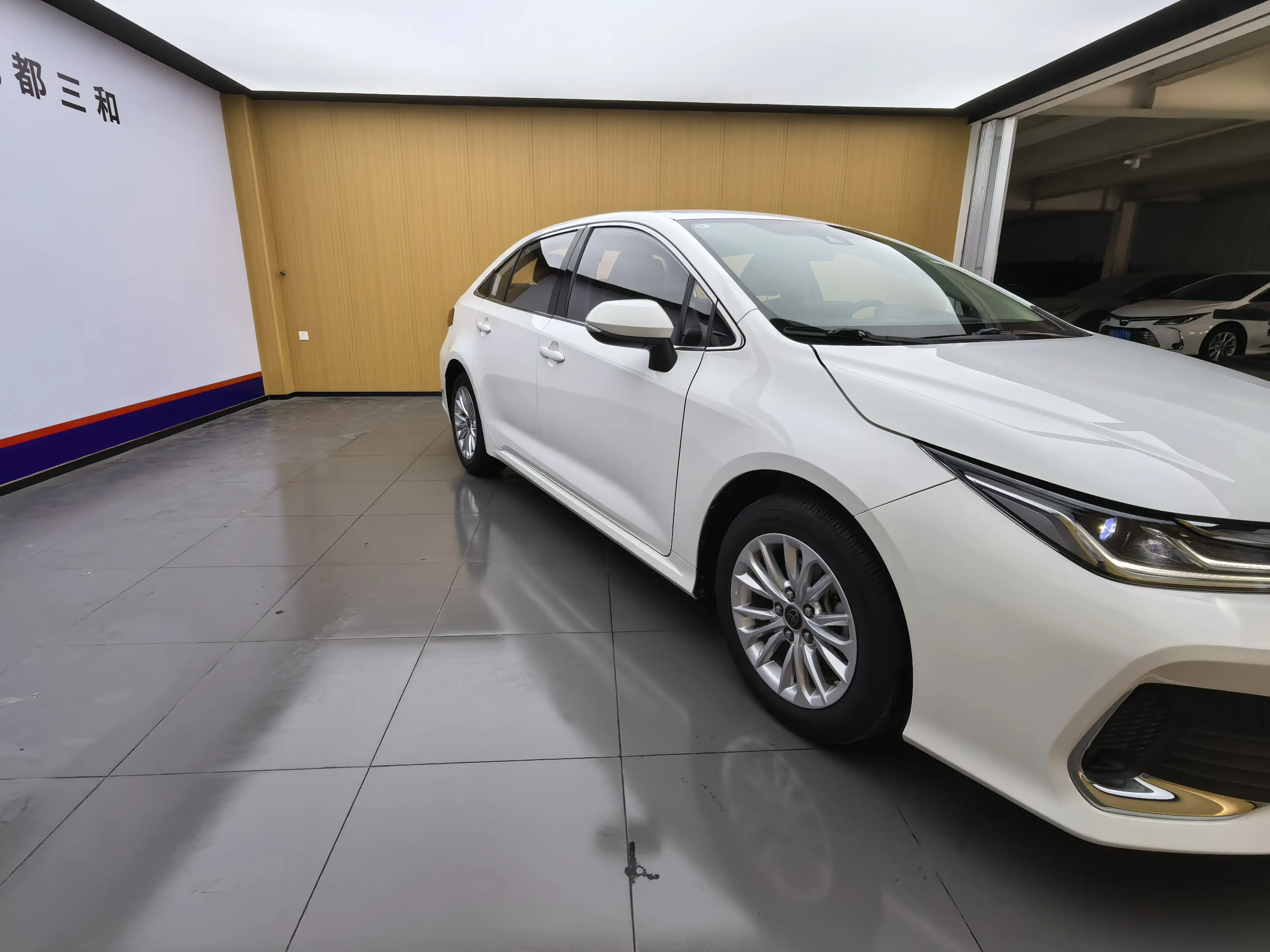 Toyota Asiatic lion