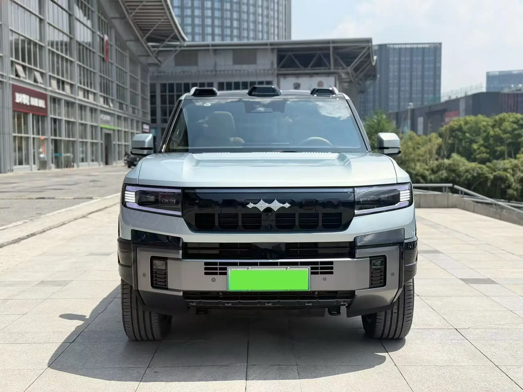 BYD Leopard Leopard 8