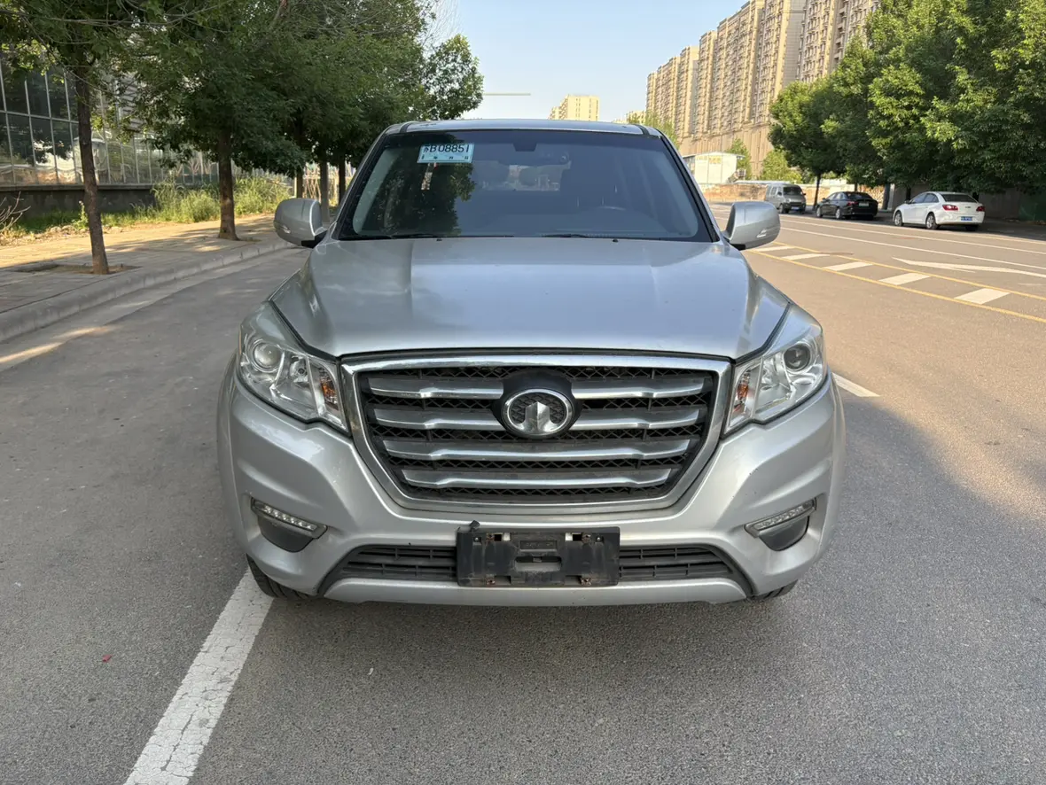 Great Wall Wing Jun 6