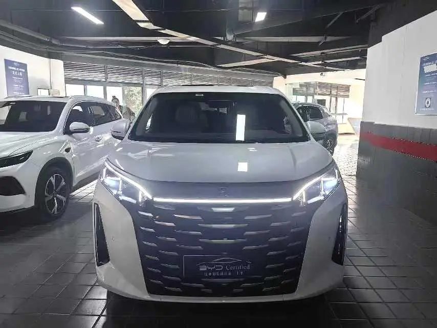 BYD Summer