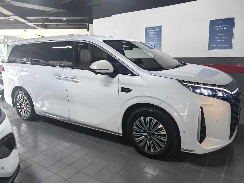 BYD Summer