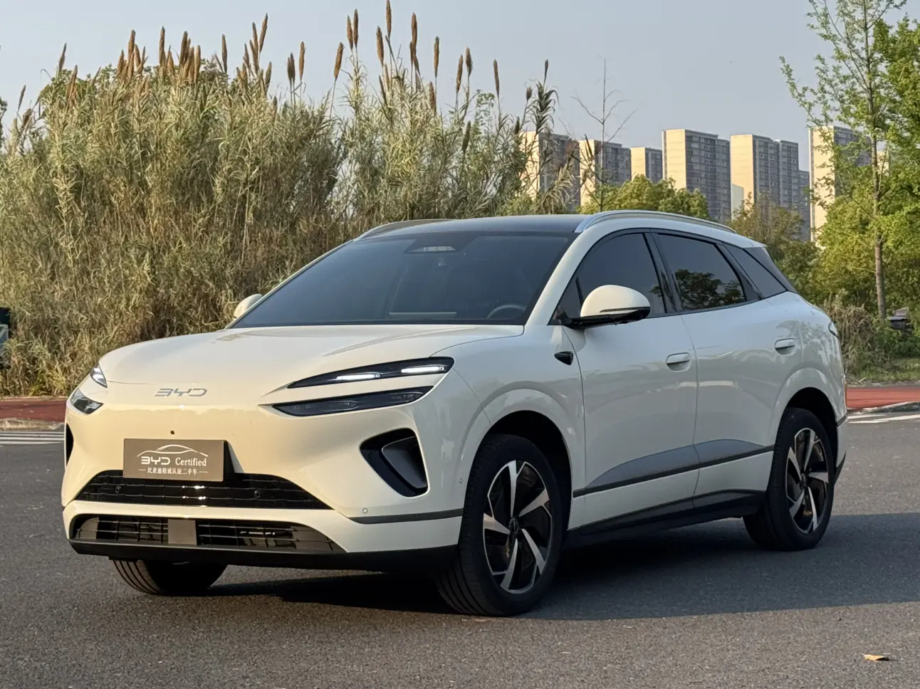 BYD Sea Lion 06EV