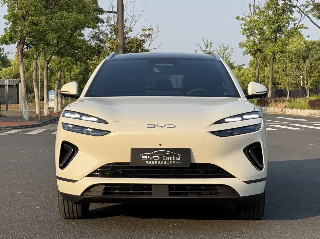 BYD Sea Lion 06EV