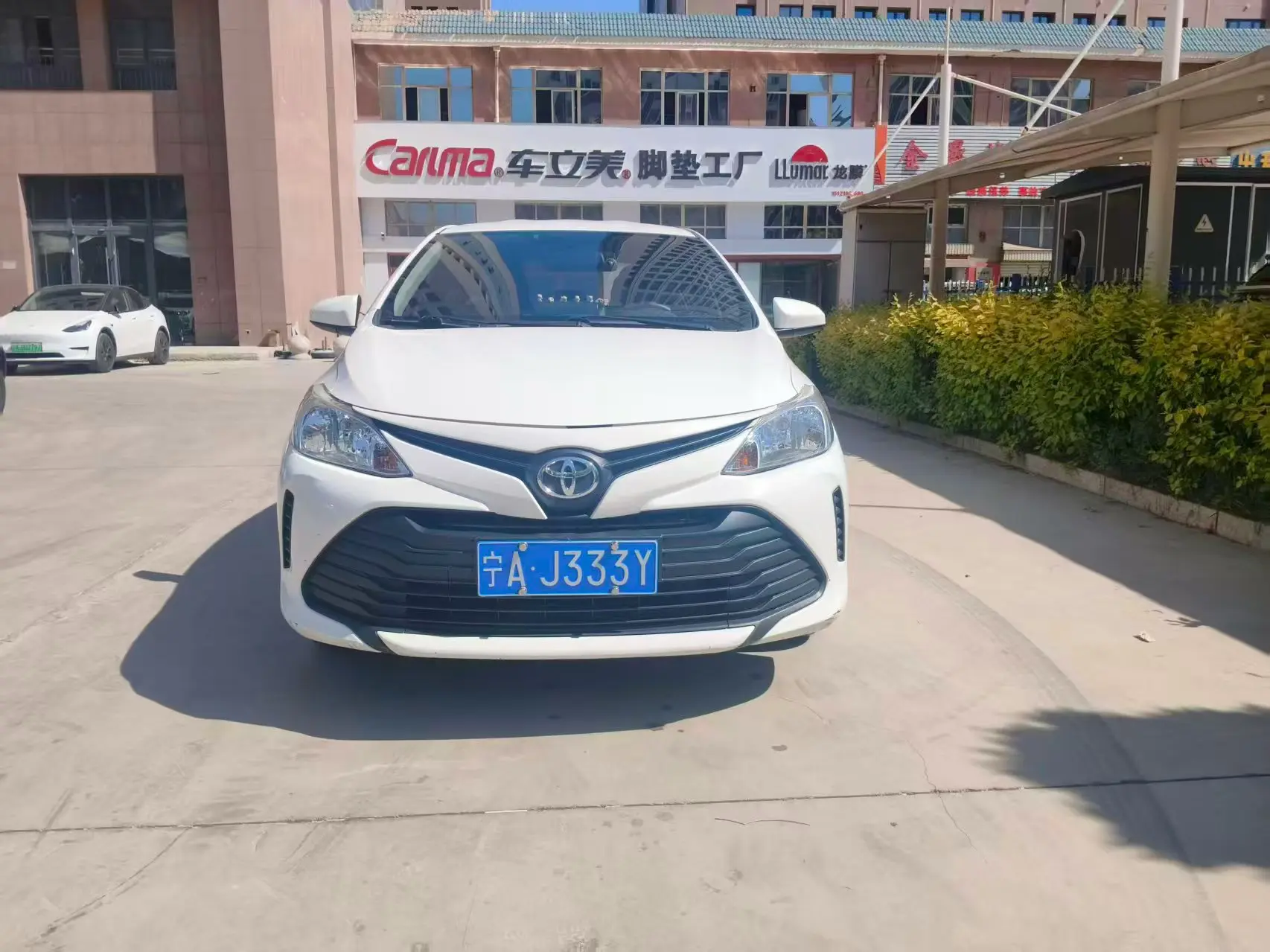 Toyota Vios