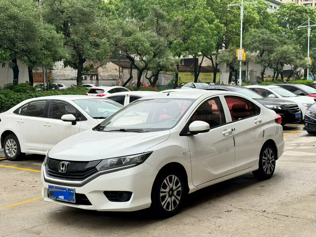 Honda Gray