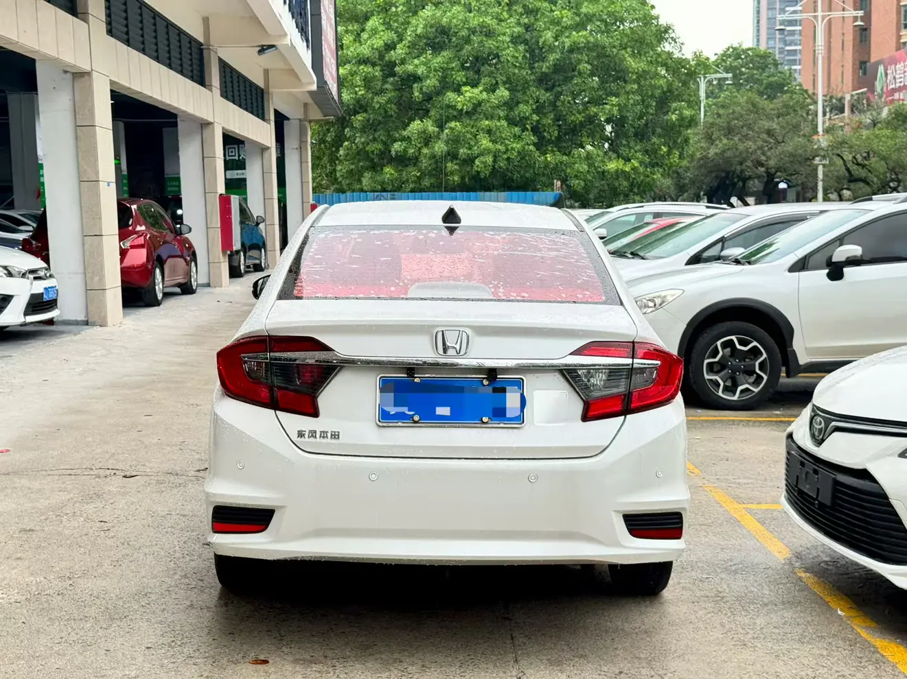 Honda Gray