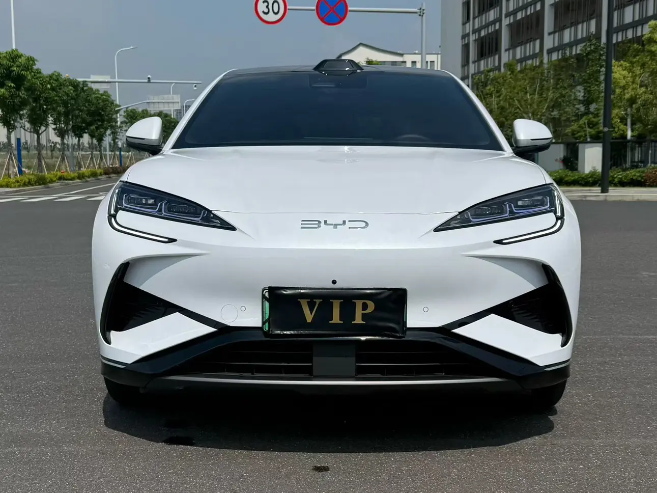 BYD Sea Lion 07EV