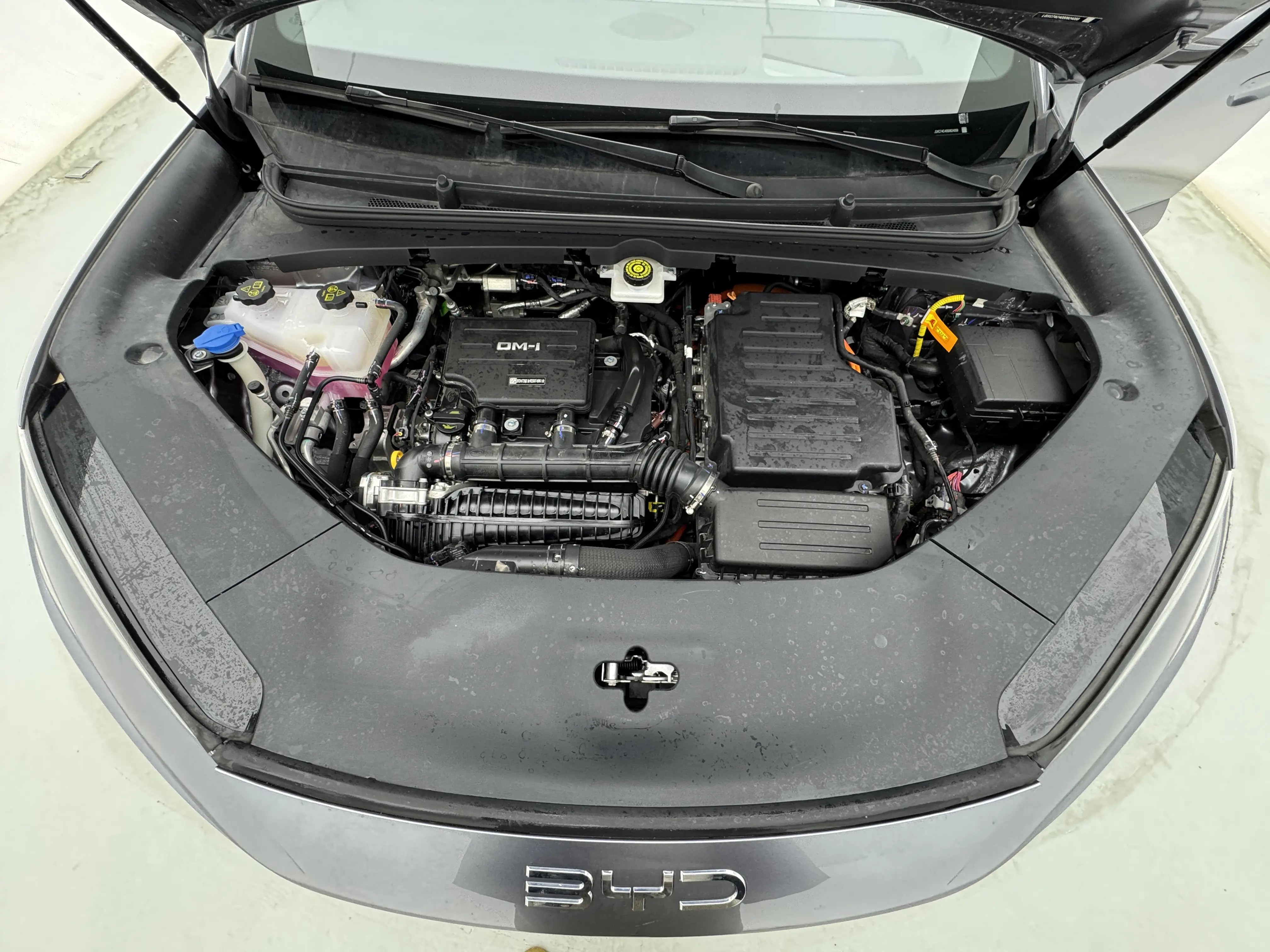 BYD Sea Lion 06DM