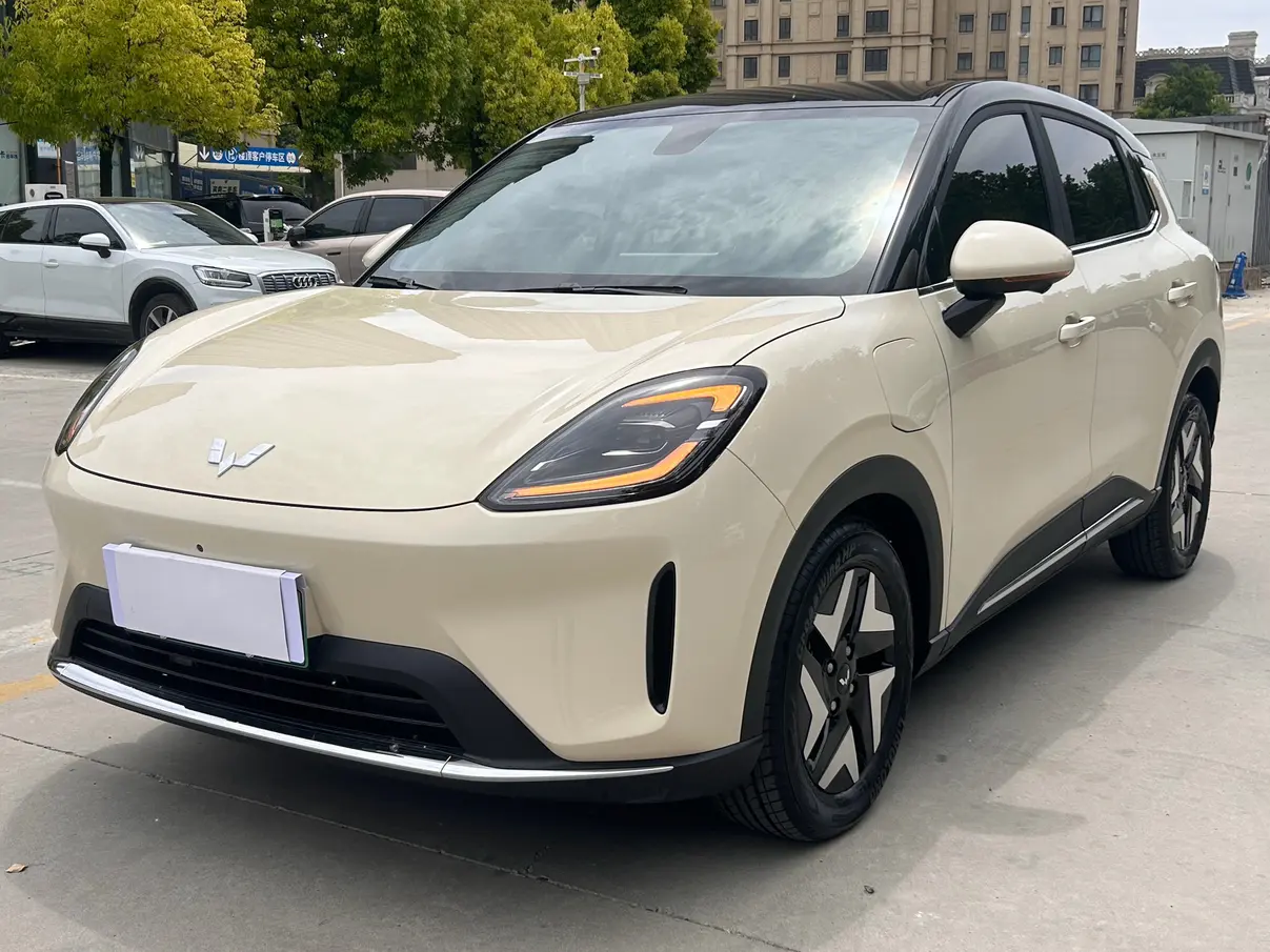 Wuling Bingo S