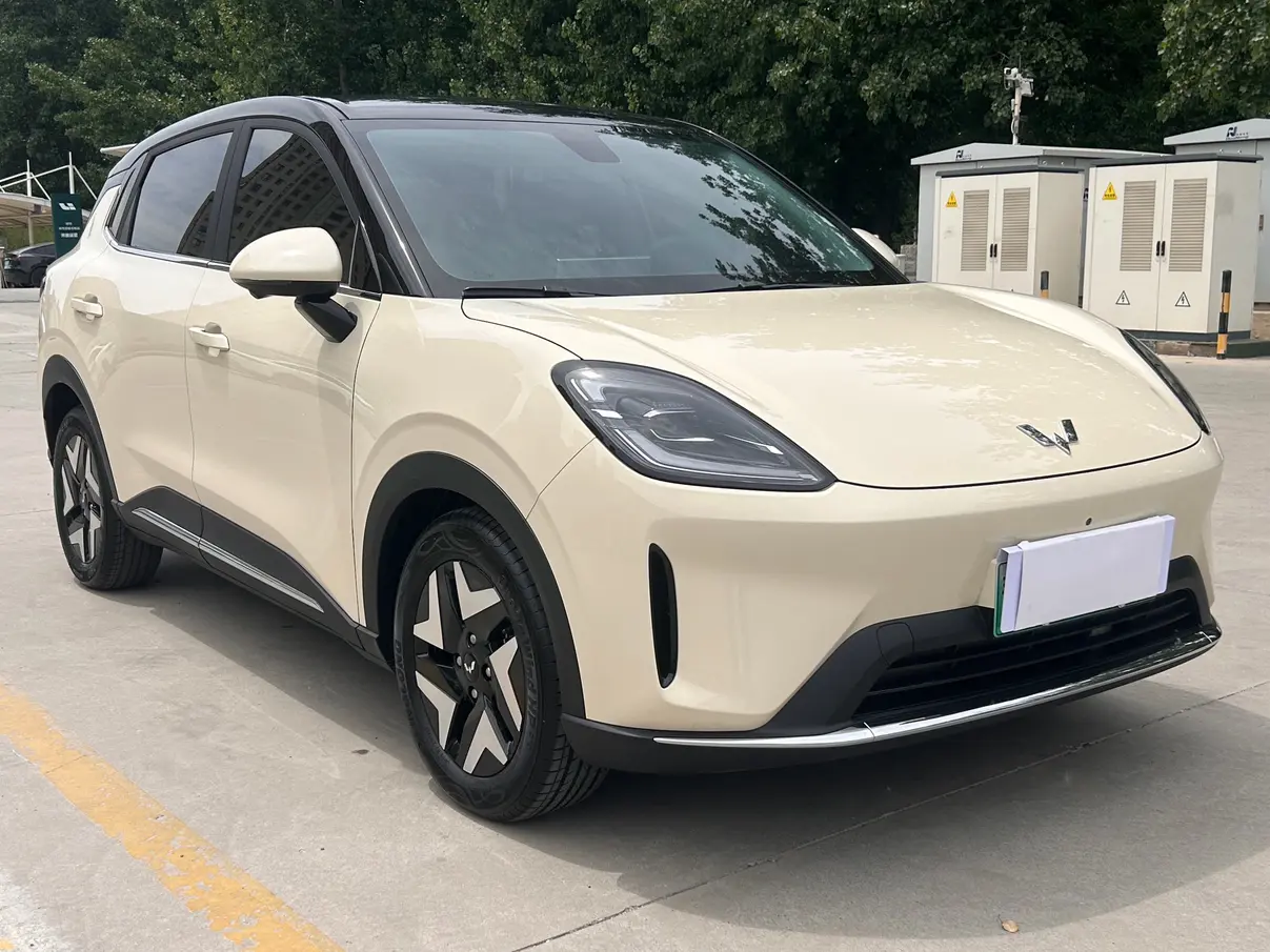 Wuling Bingo S