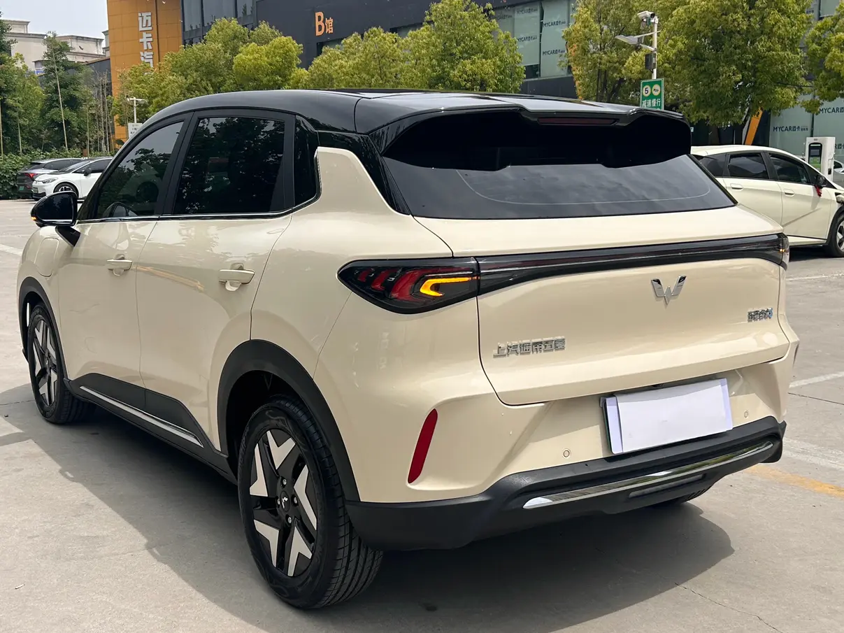 Wuling Bingo S