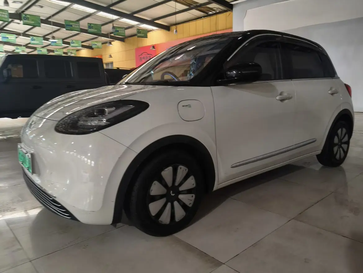 Wuling Bingo