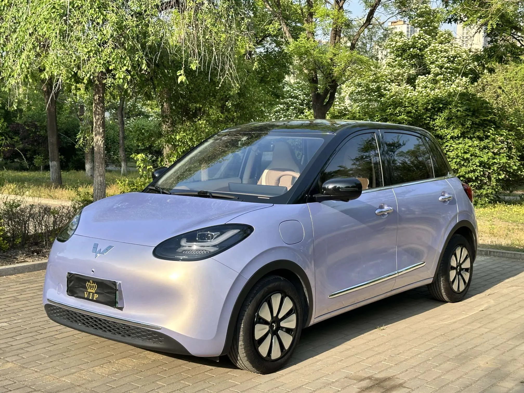 Wuling Bingo