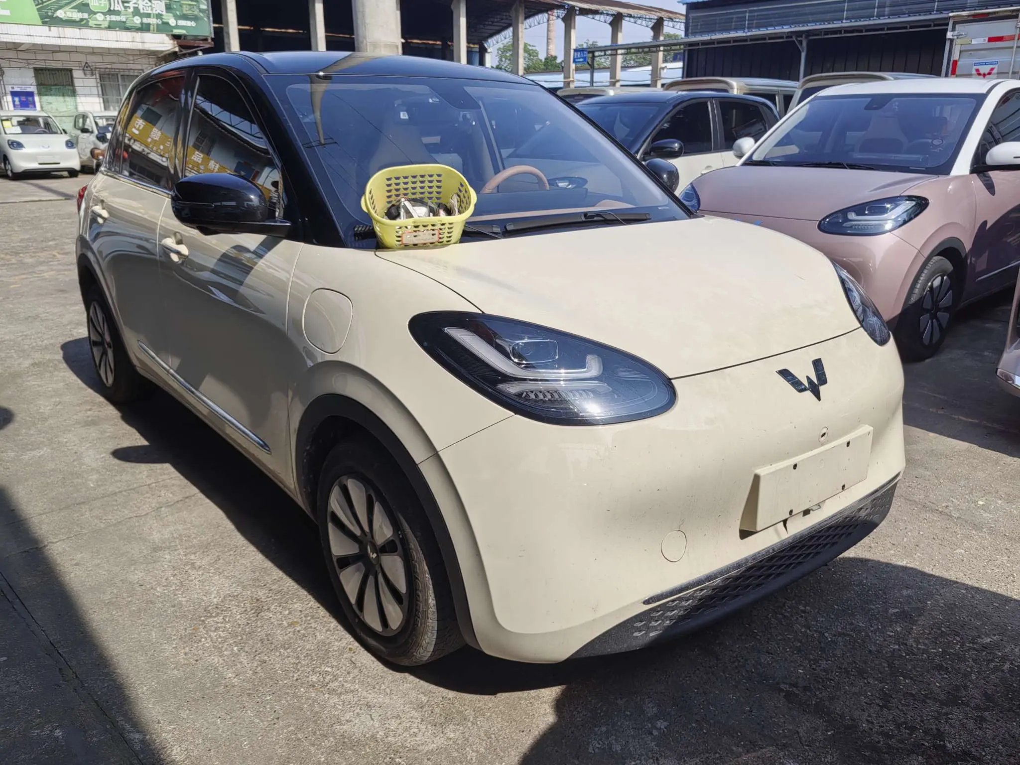 Wuling Bingo