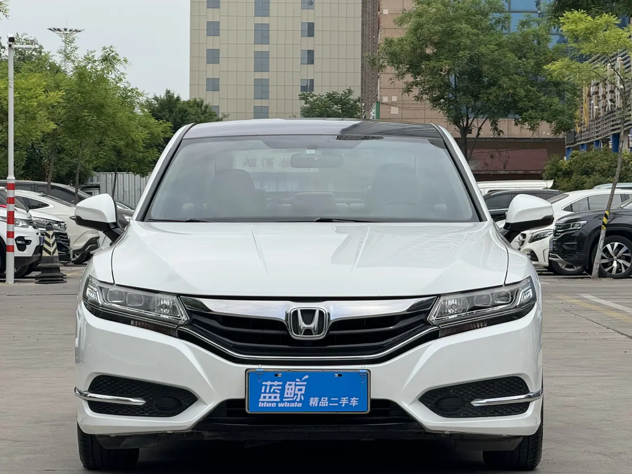 Honda Sibo Rui
