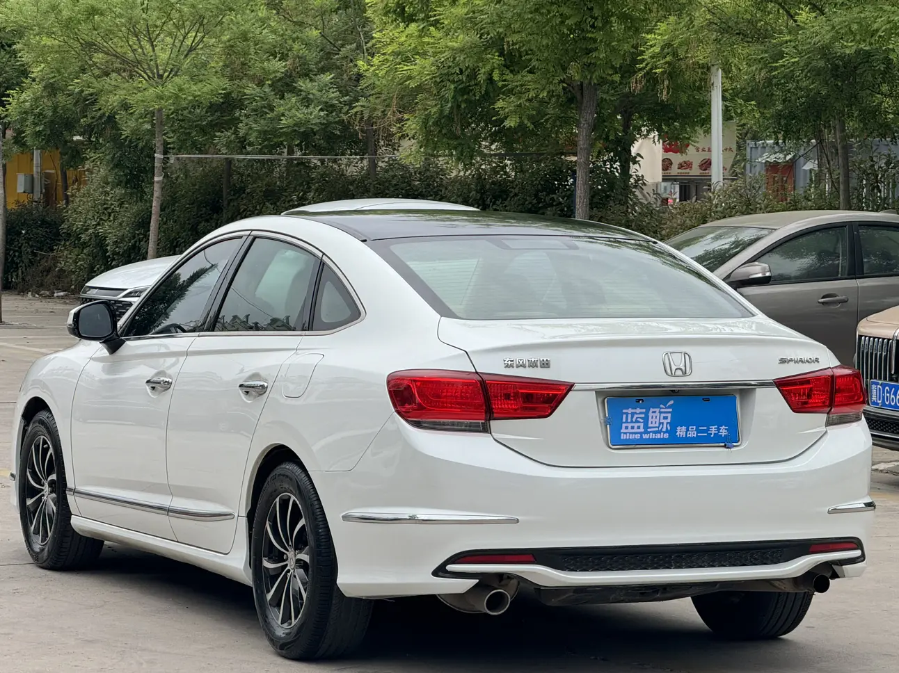 Honda Sibo Rui