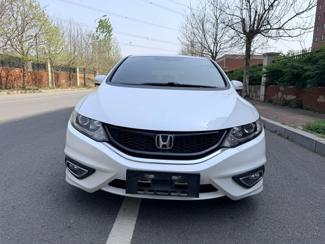 Honda Jed