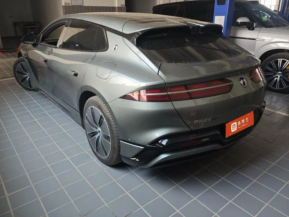 Denza DENGZH9GT DM