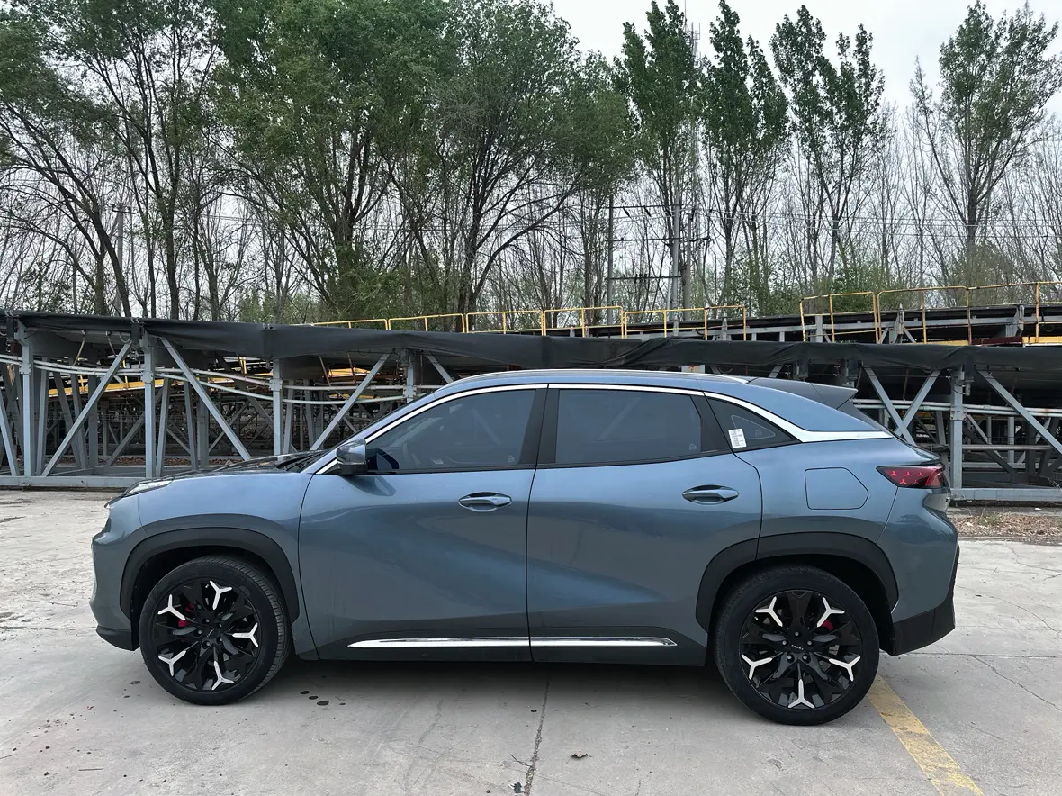 Chery Big ant