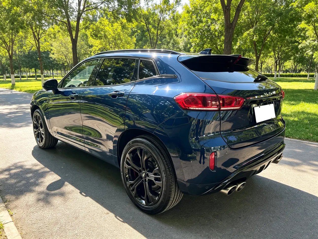 Wey Wei brand VV7