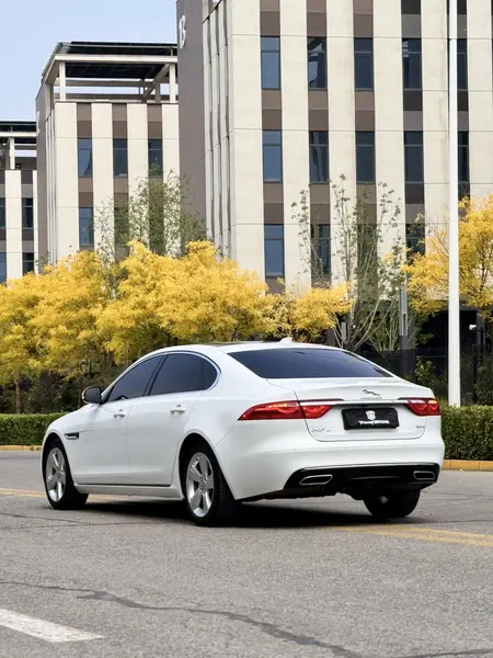 catalog-car-13