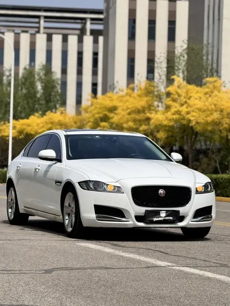 catalog-car-18