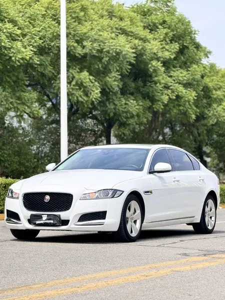 catalog-car-20