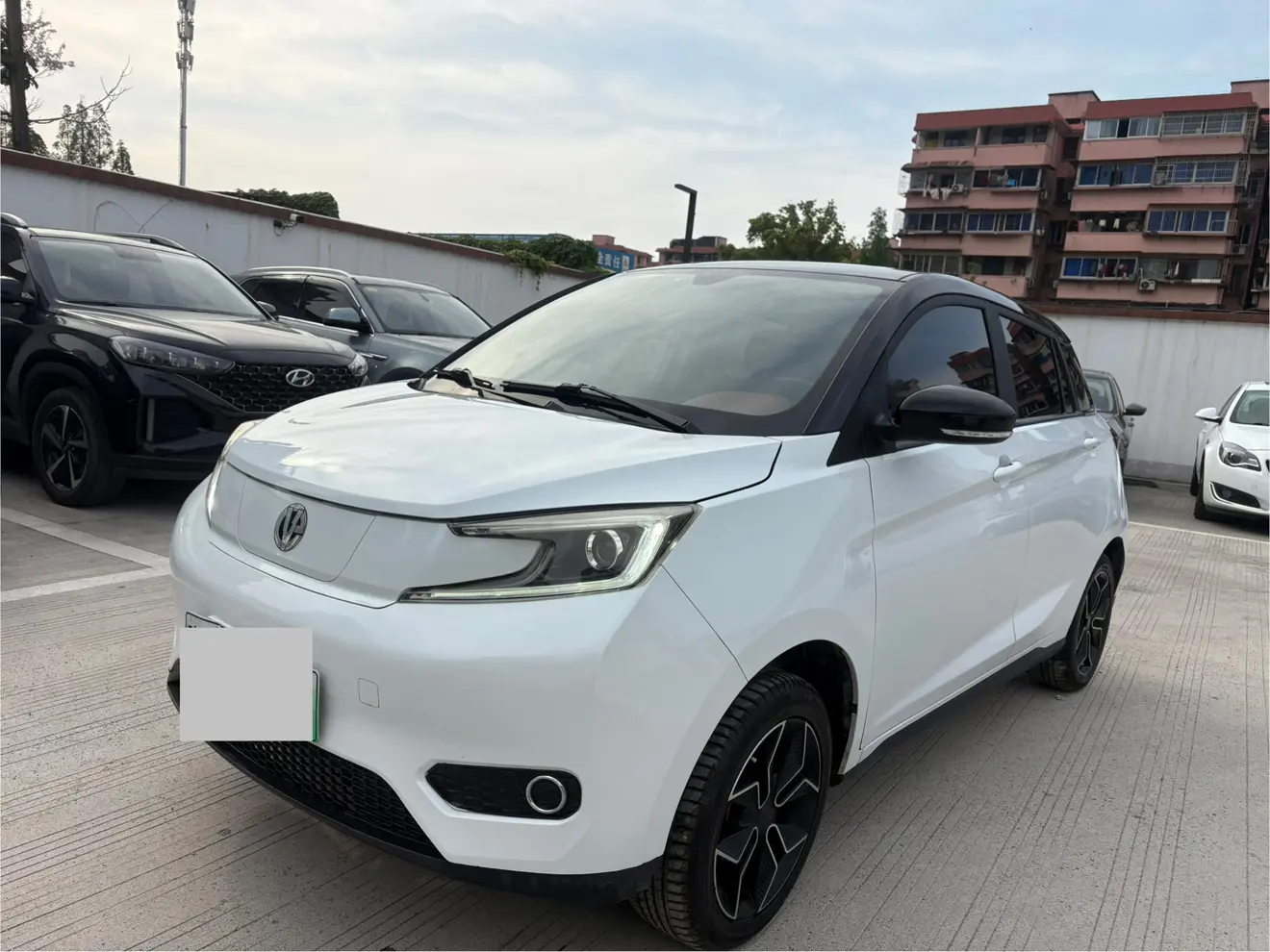Electric House YOUNG Guang Xiaoxin