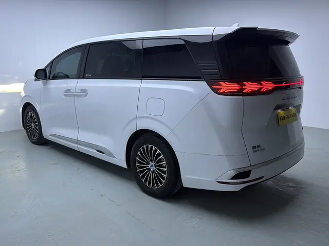 Denza D9 DM