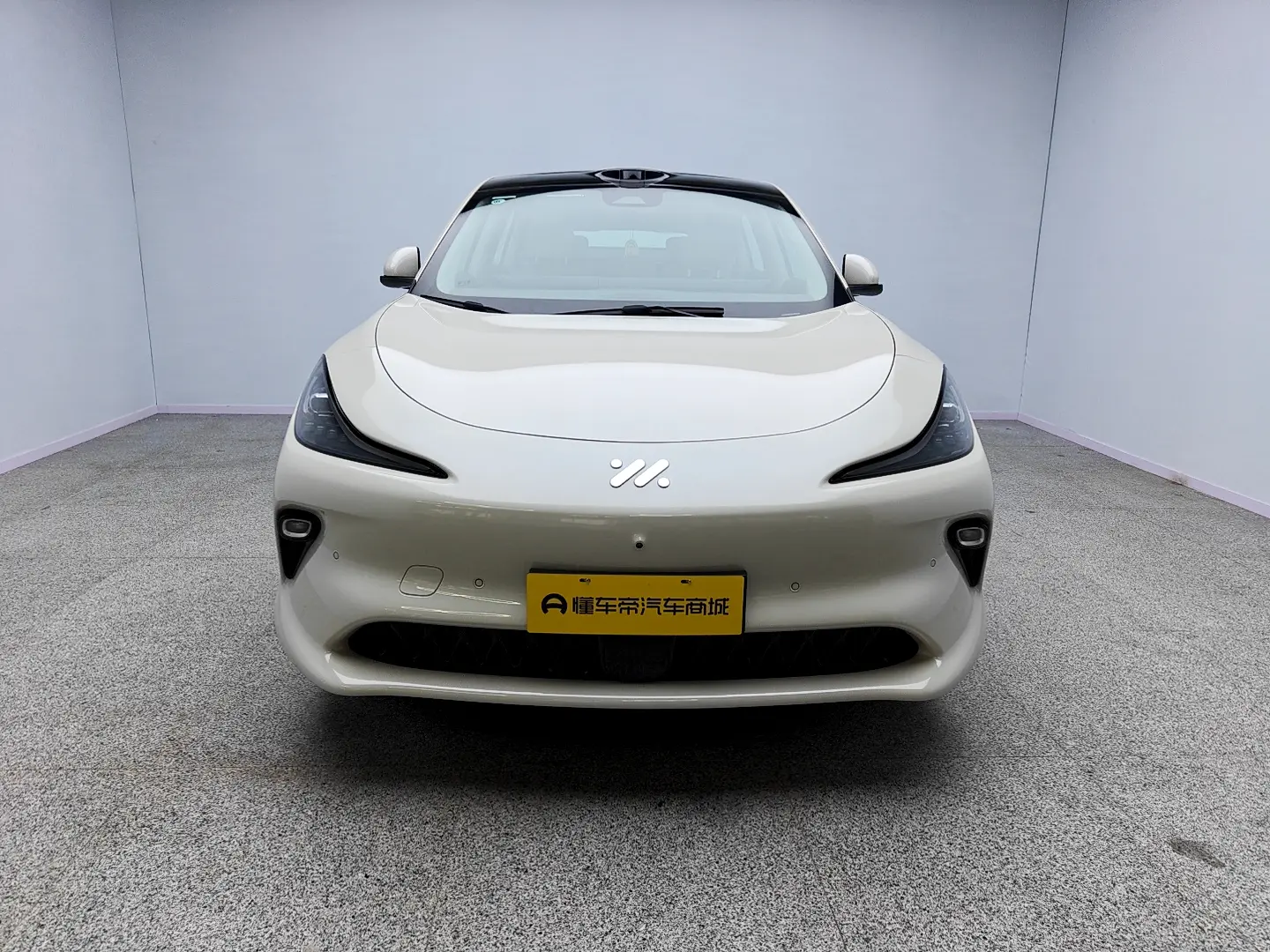 IM Motors LS6