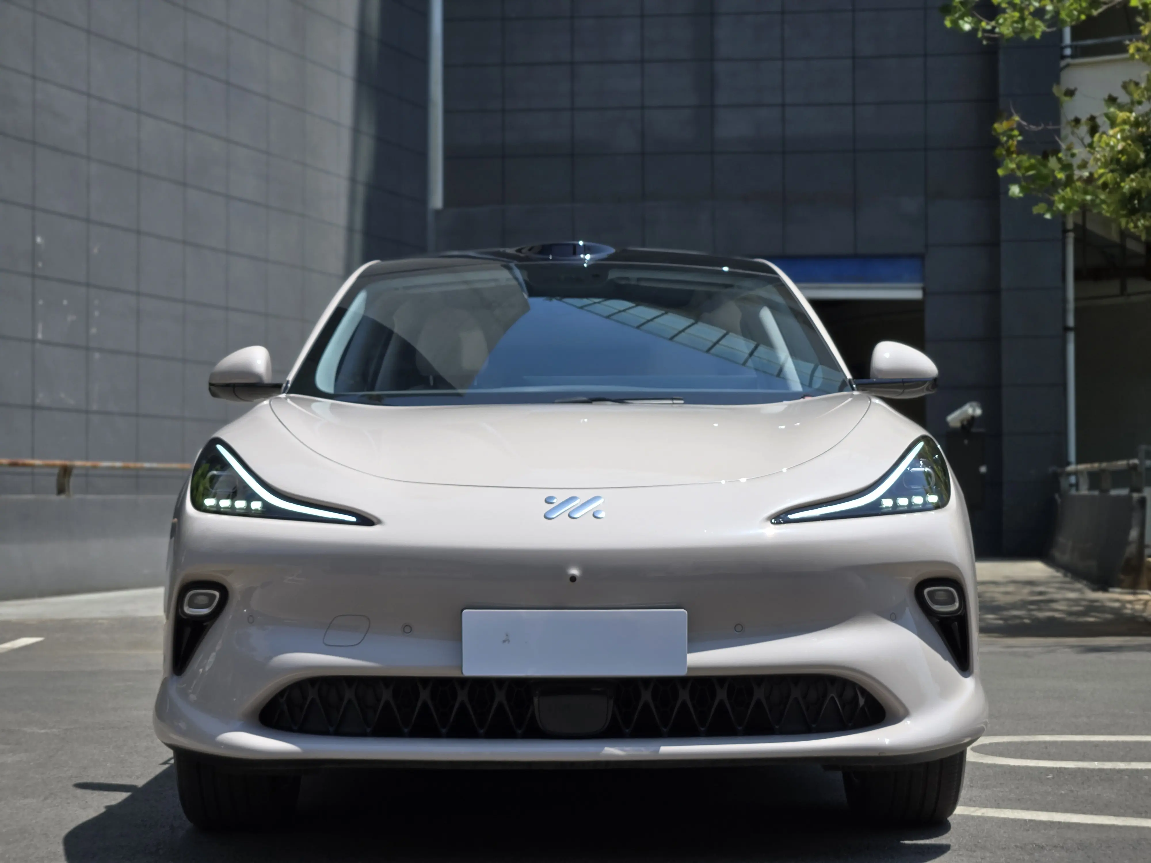 IM Motors LS6