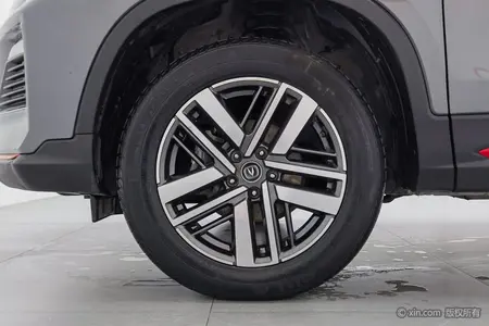 catalog-car-5