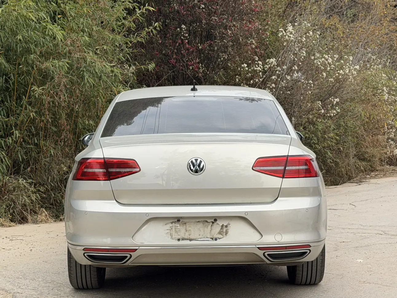 Volkswagen Magotan
