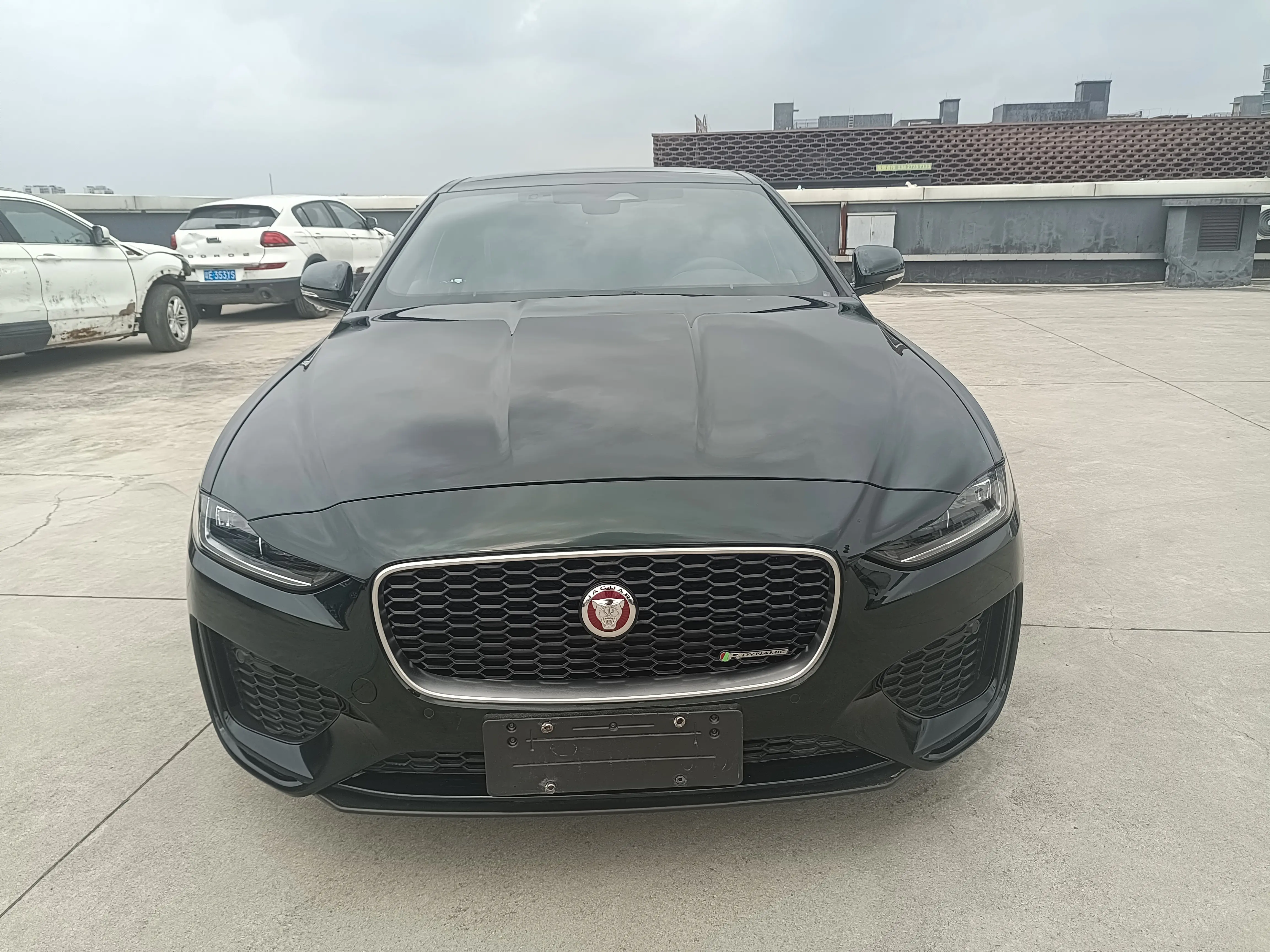 Jaguar XEL