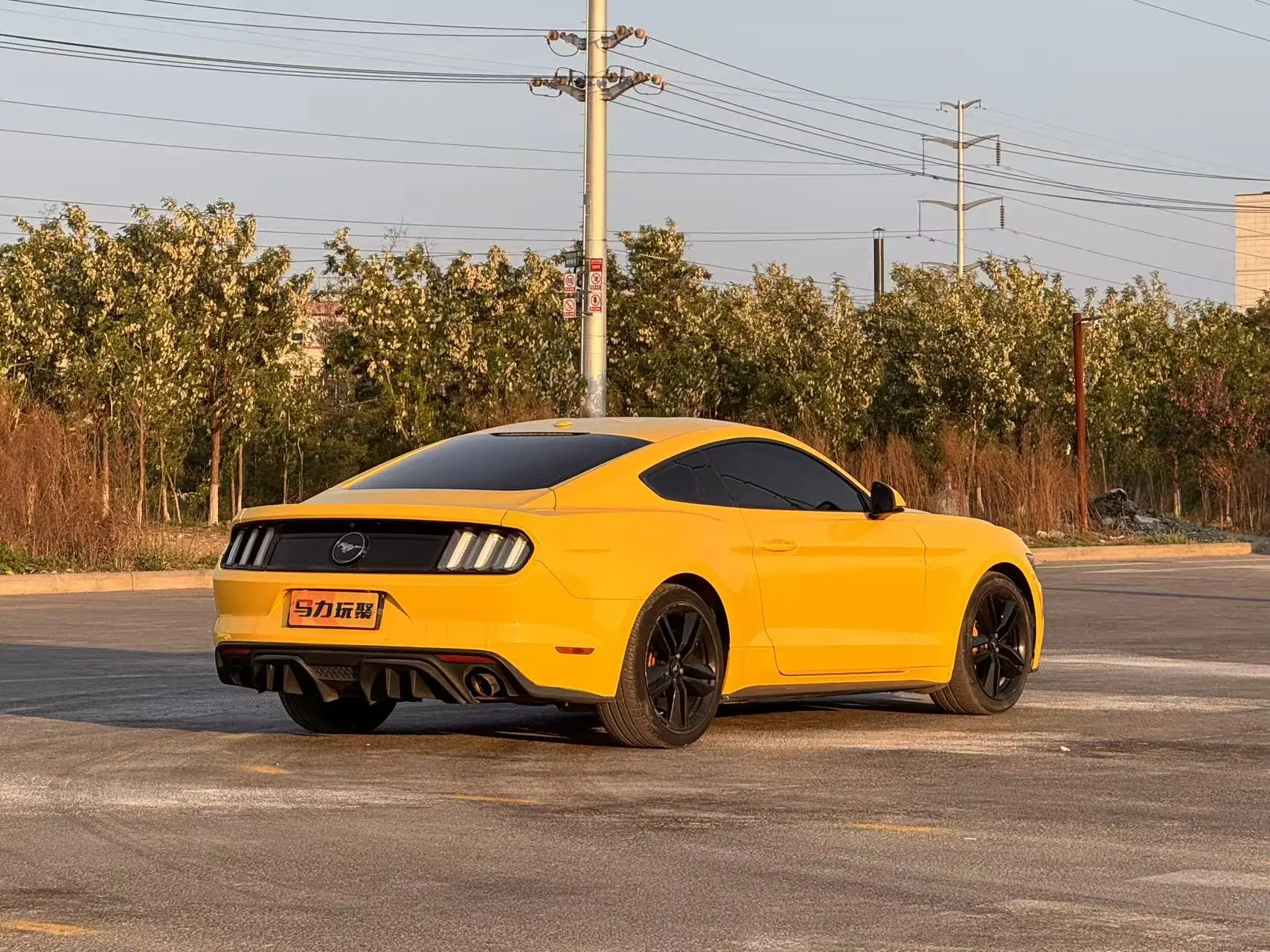 Ford Mustang