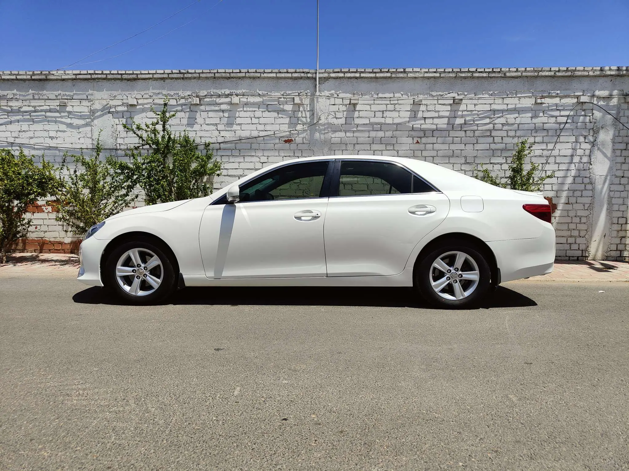 Toyota Ruizhi