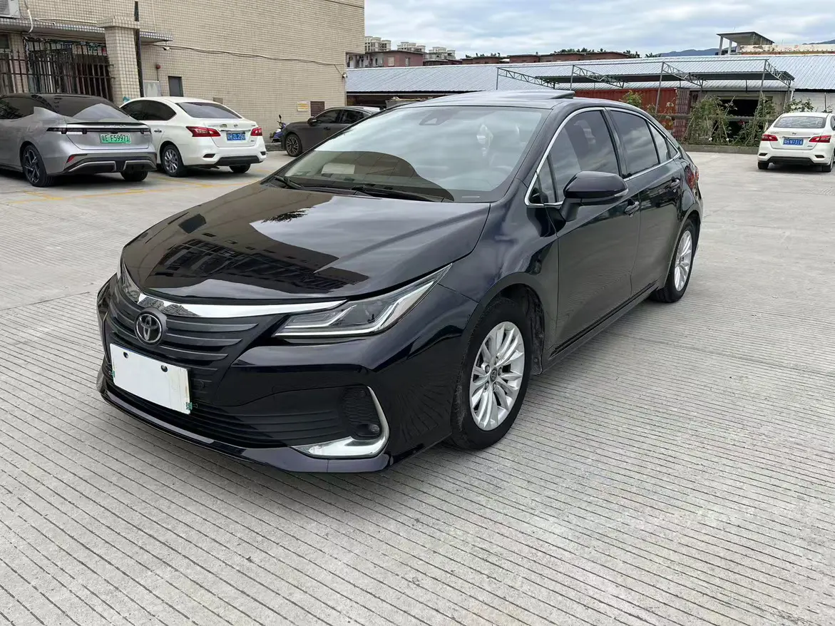 Toyota Asiatic lion