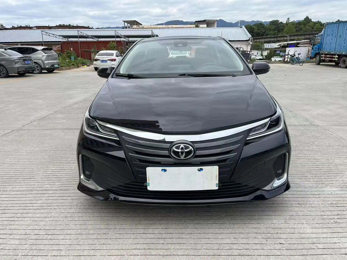 Toyota Asiatic lion