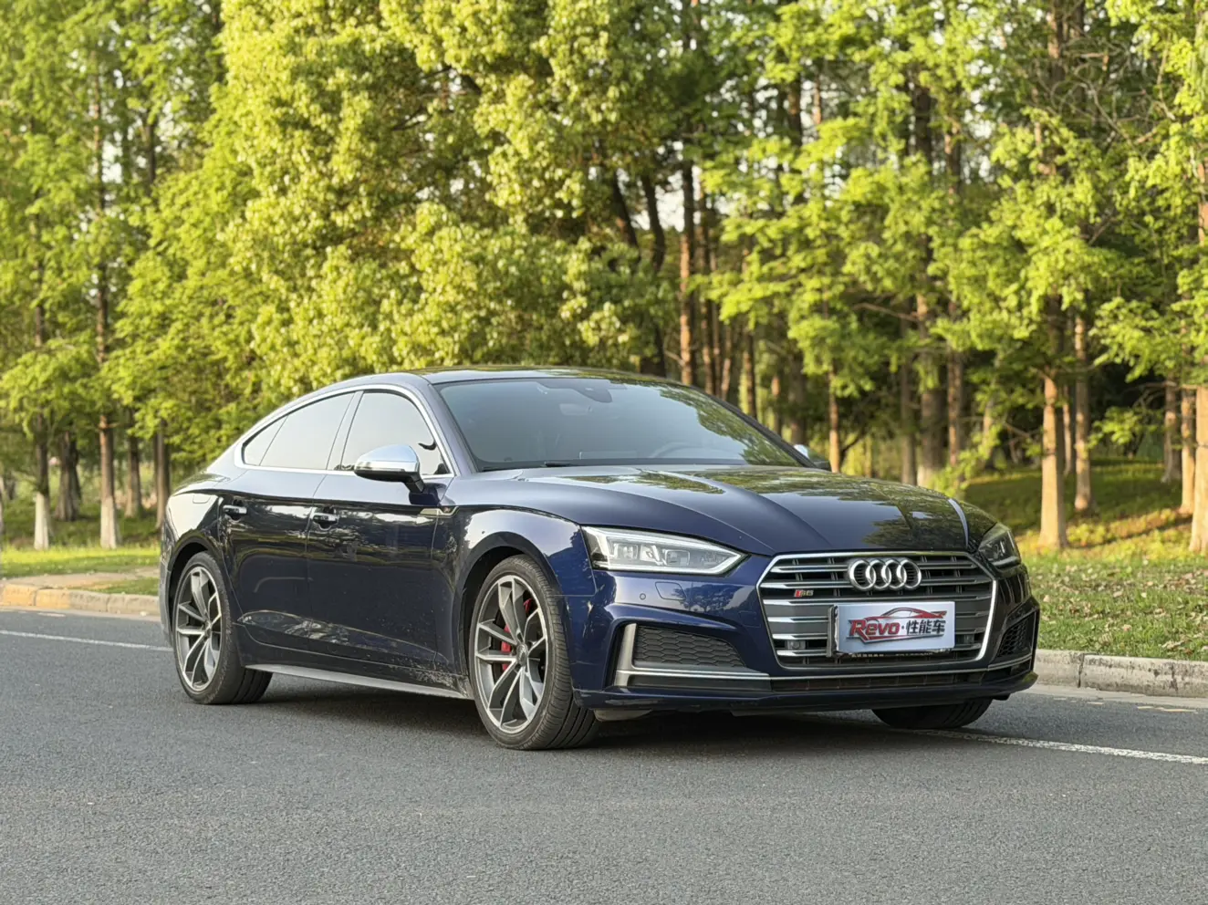 Audi S5