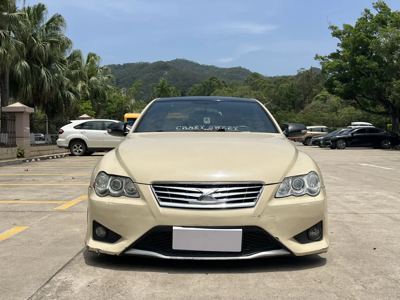 Toyota Ruizhi