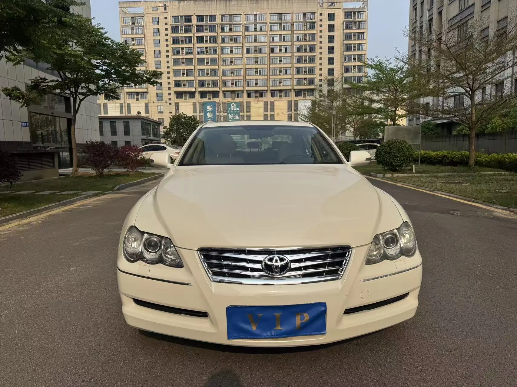 Toyota Ruizhi